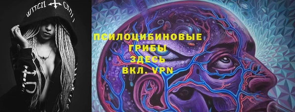 сатива Алзамай