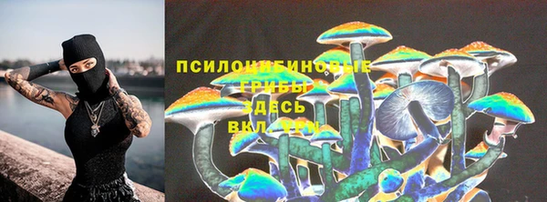 прущий лед Алексин