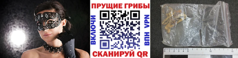 даркнет сайт  Алзамай  Галлюциногенные грибы MAGIC MUSHROOMS 